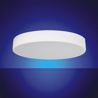 Picture of Macaroon Type LED Ceiling Lamp
