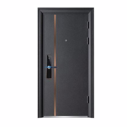 Picture of single double exterior security steel door