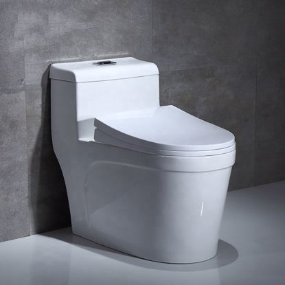 Picture of ADTO  Ceramic Toilet One PieceToilet Middle East Country Hot Sale Body Metal Frame Button Mark Water