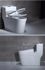 Picture of ADTO  Ceramic Toilet One PieceToilet Middle East Country Hot Sale Body Metal Frame Button Mark Water