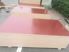 Picture of Red Film Faced Plywood
